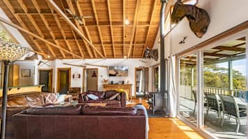 Smart TV, fireplace, DVD player, ping pong