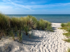 A sandy beach path leading to the sea, surrounded by grass.