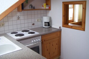 Fridge, oven, stovetop, coffee/tea maker - 1 bedroom apartment in weiÿensberg (Weißensberg)