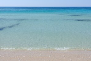Una playa con agua cristalina y una orilla de arena.