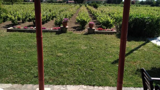 Un patio couvert avec un sol en pierre, une vue sur un vignoble et un banc.