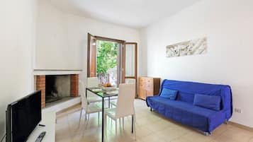 TV de tela plana 21 polegadas com canais a cabo, TV, lareira