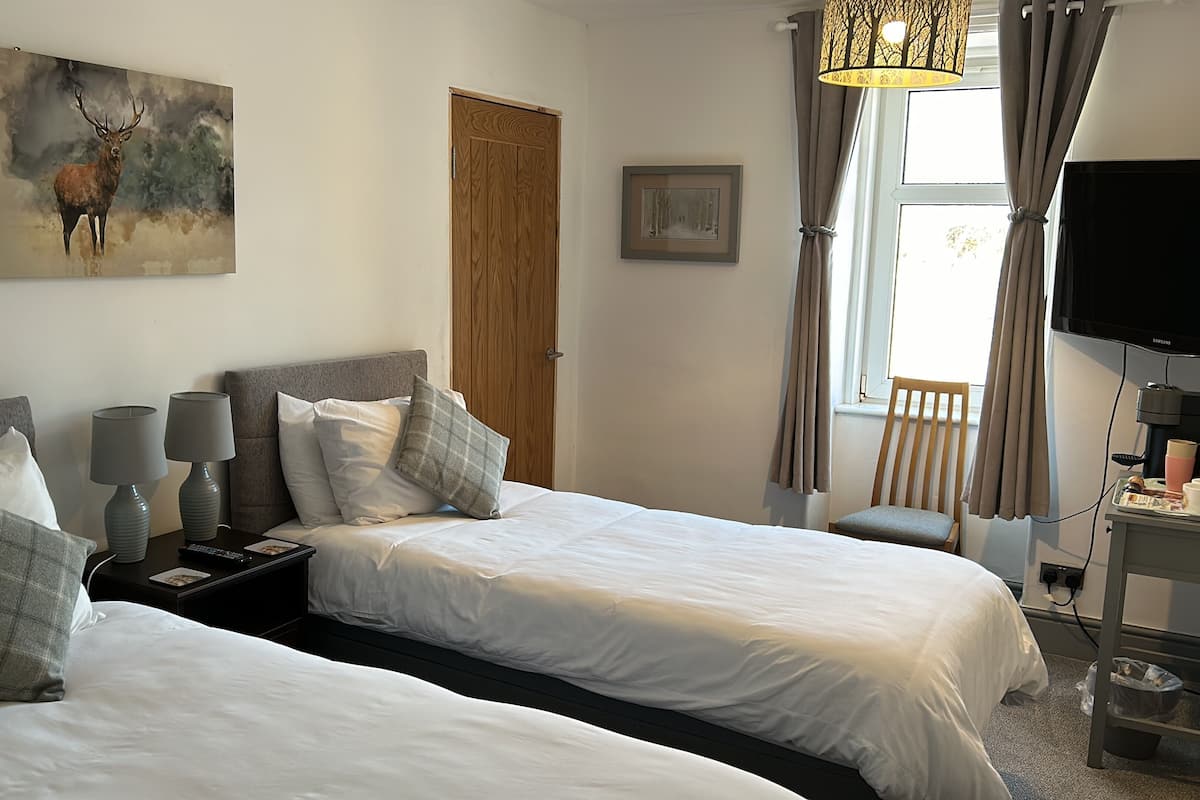 Habitación de hotel con dos camas, un cuadro, una puerta de madera, una ventana con cortinas, un televisor y una zona de café.