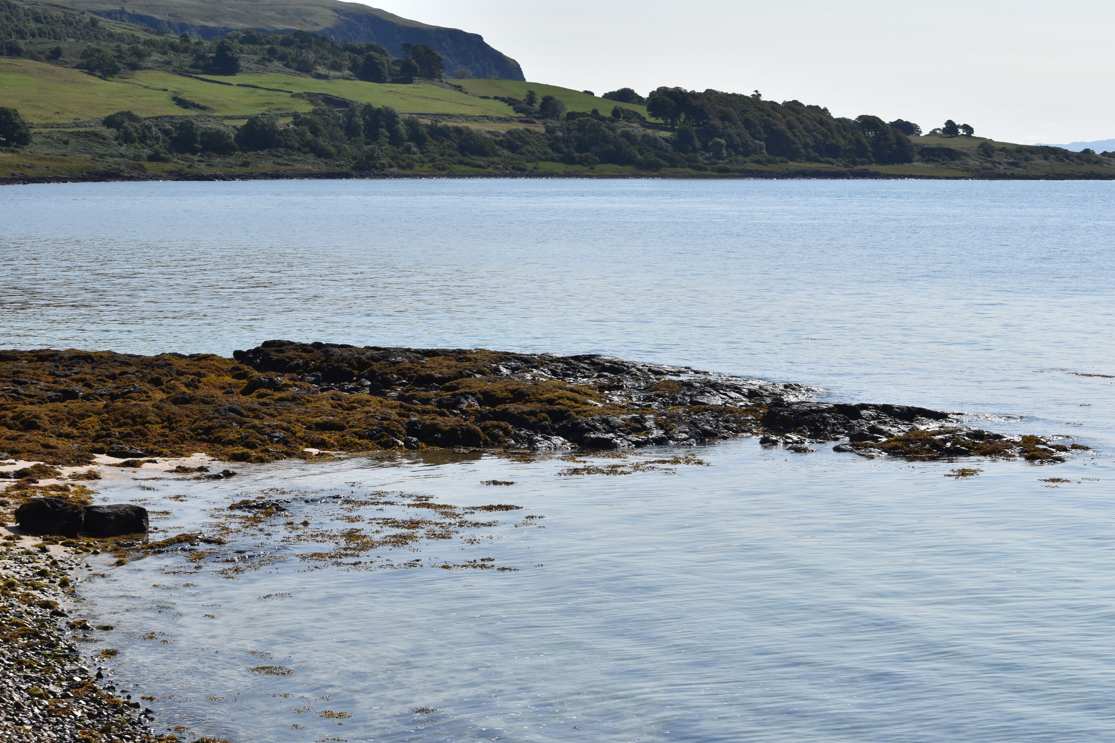 A calm lake with rocky shores and a distant green landscape.