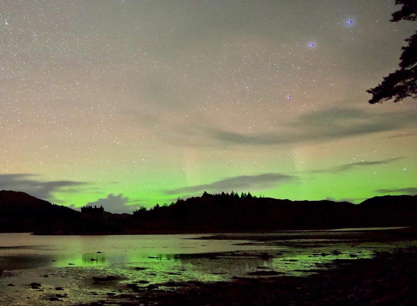 Cielo nocturno con estrellas y la aurora boreal sobre un lago con orilla boscosa.