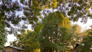 A grassy outdoor area with trees and a building. - Glamping TENTE LODGE SAFARI DE LUXE, vue sur le coteau et vignes (Chadenac)