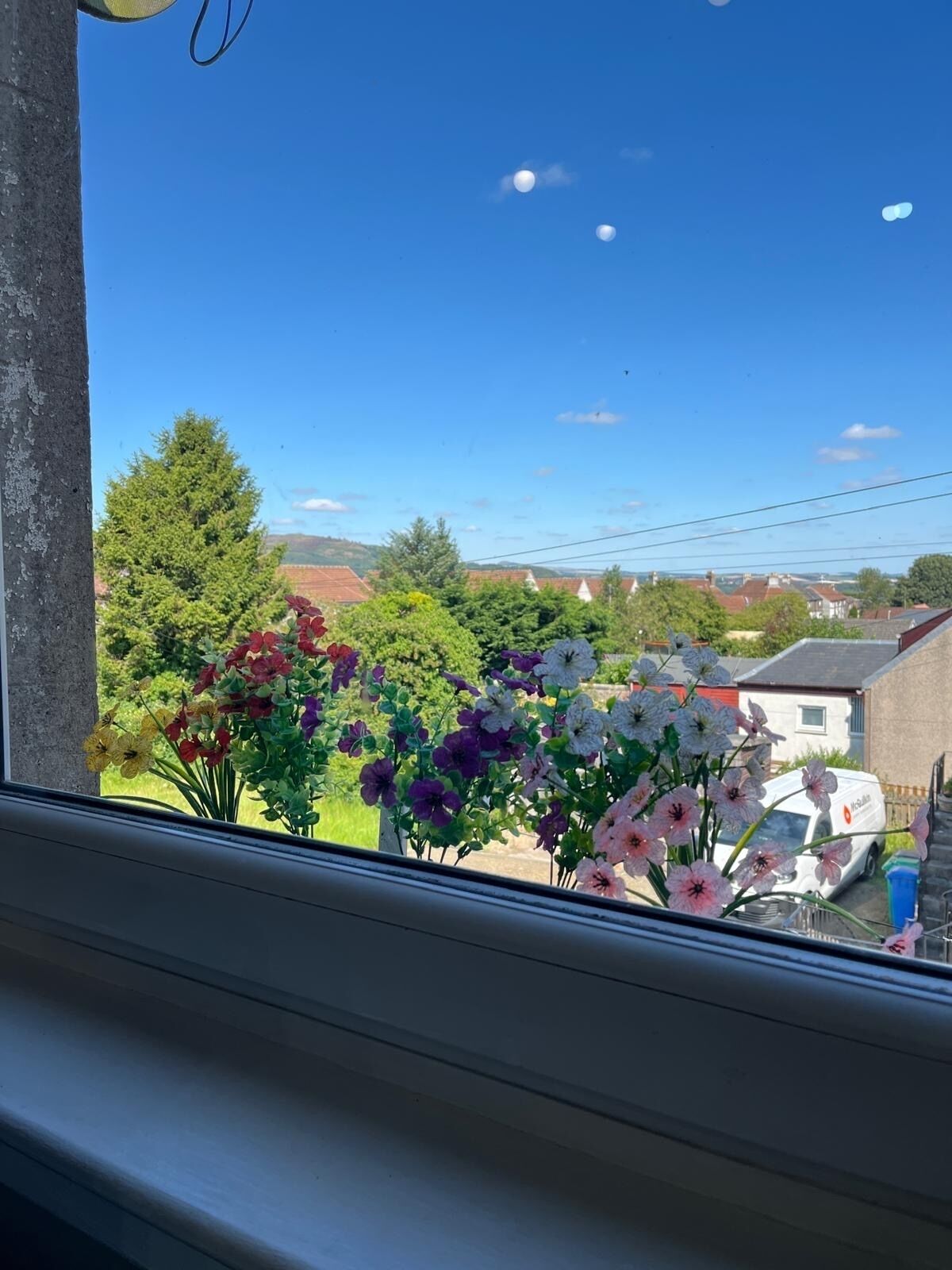 A window view of a rural landscape with a variety of flowers in the foreground, a clear blue sky, and distant houses.