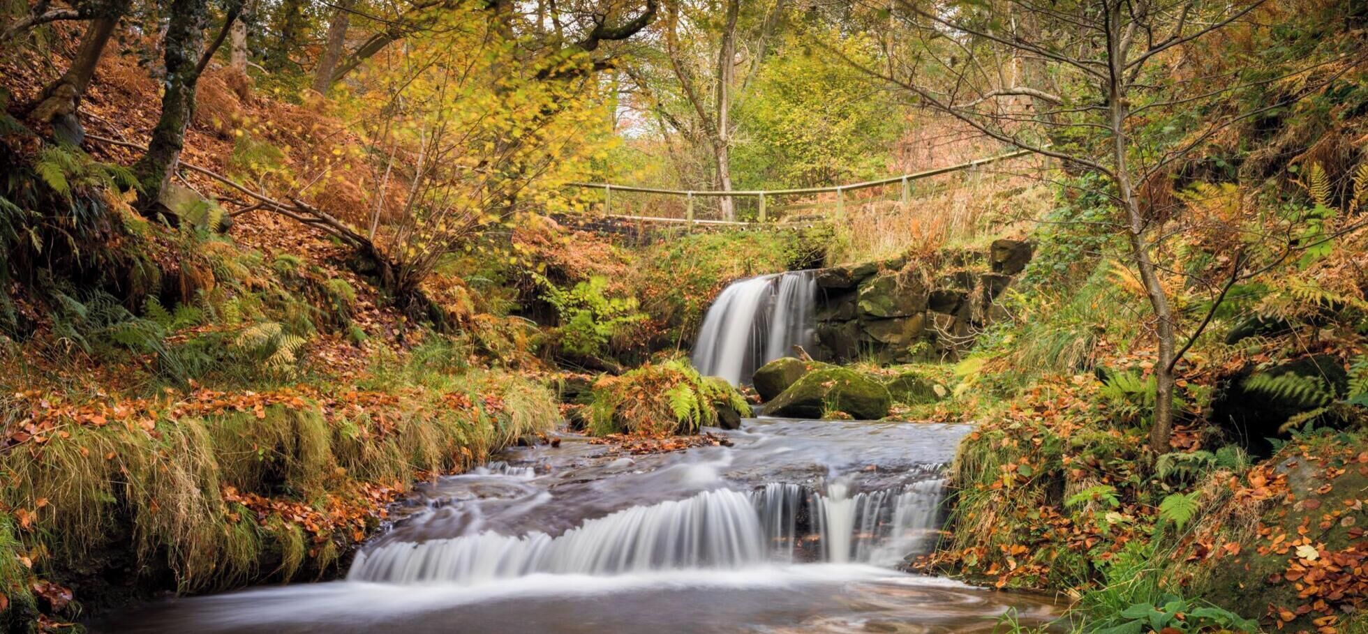 A waterfall in a forested area with a wooden bridge.