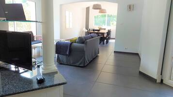 TV connectée, cheminée, livres, vidéothÚque