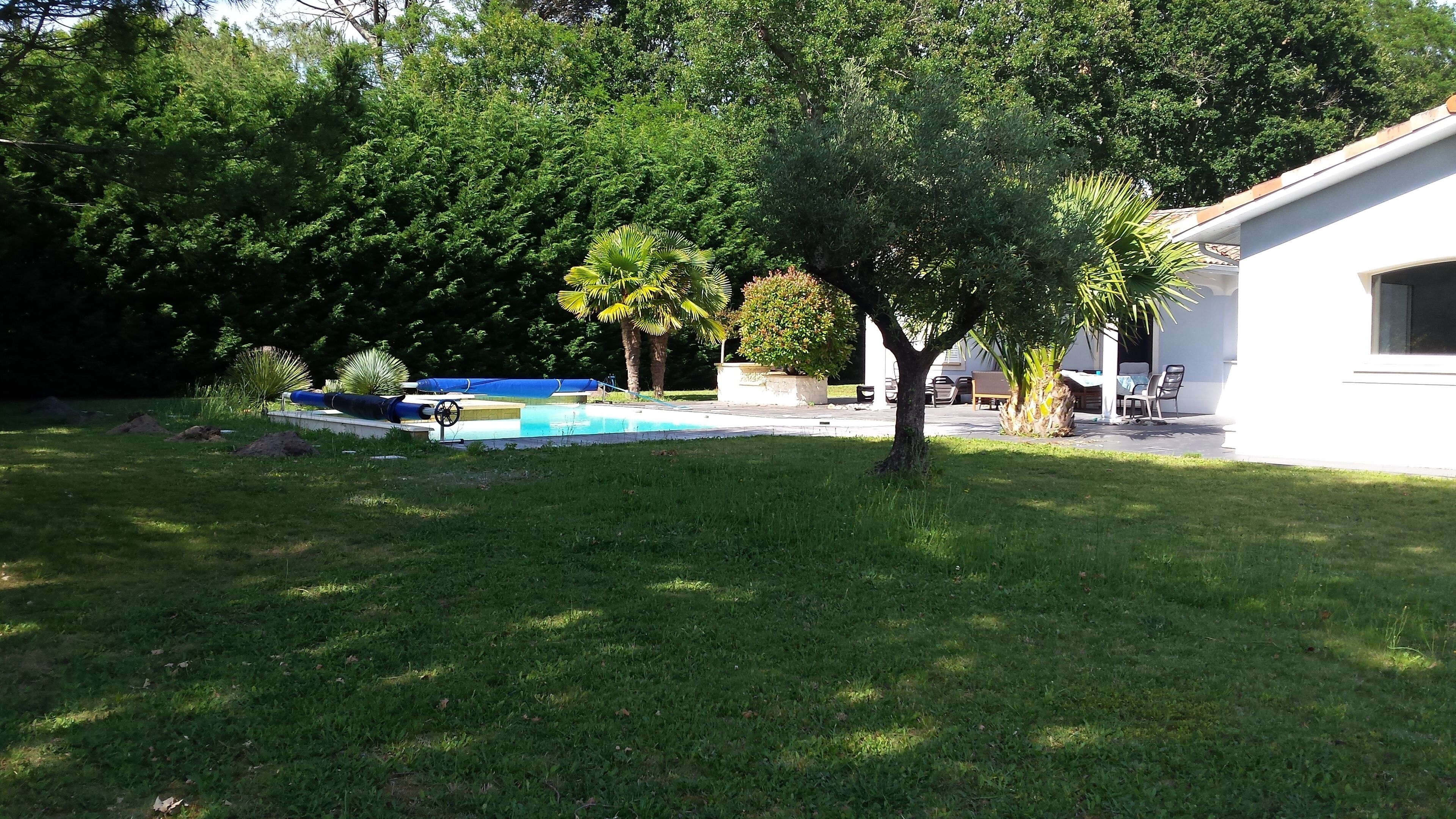 Un jardin avec une piscine, une pelouse et un bâtiment.