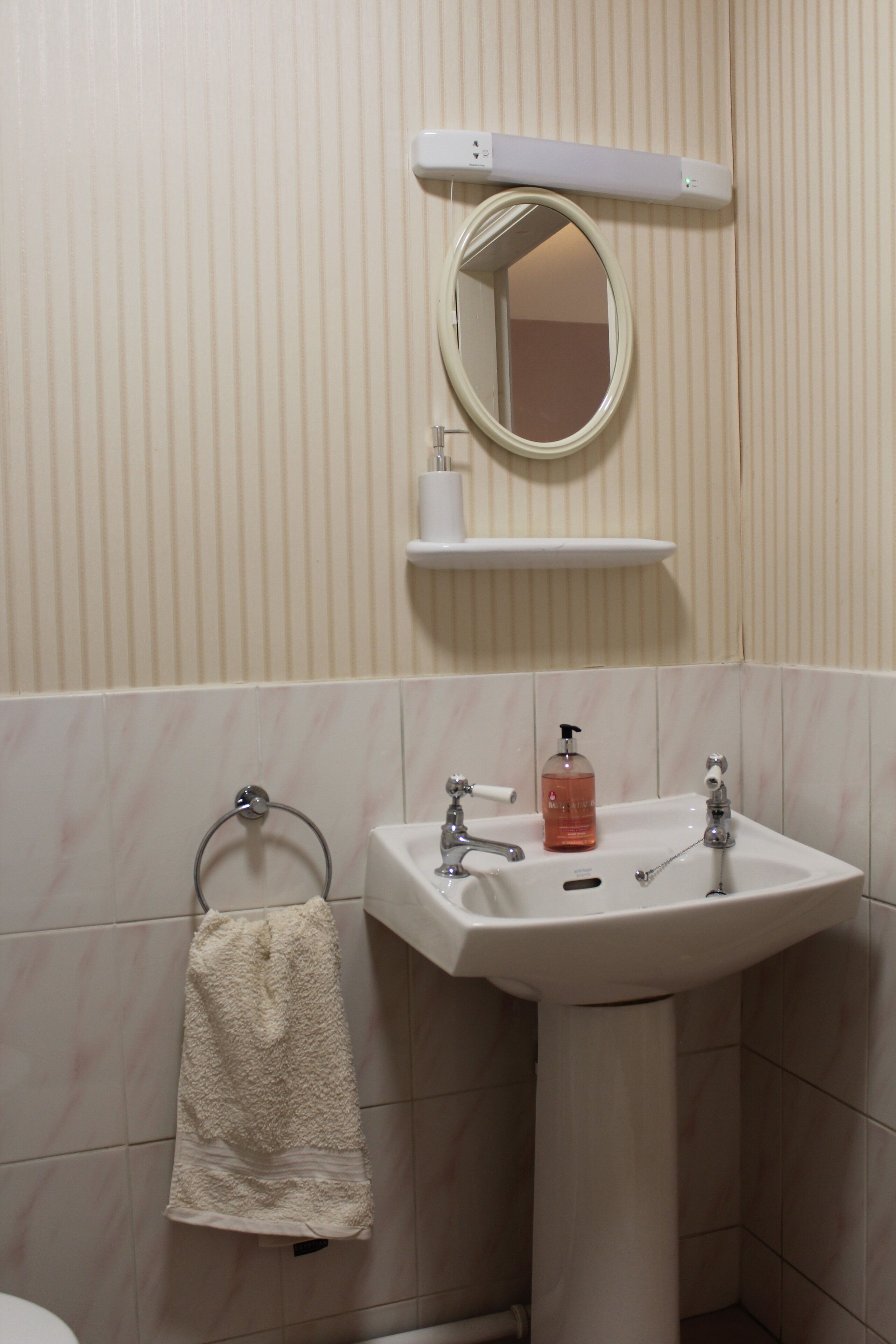 Une salle de bain avec un lavabo sur colonne, un miroir au-dessus, un porte-serviettes avec une serviette et un distributeur de savon sur le lavabo.