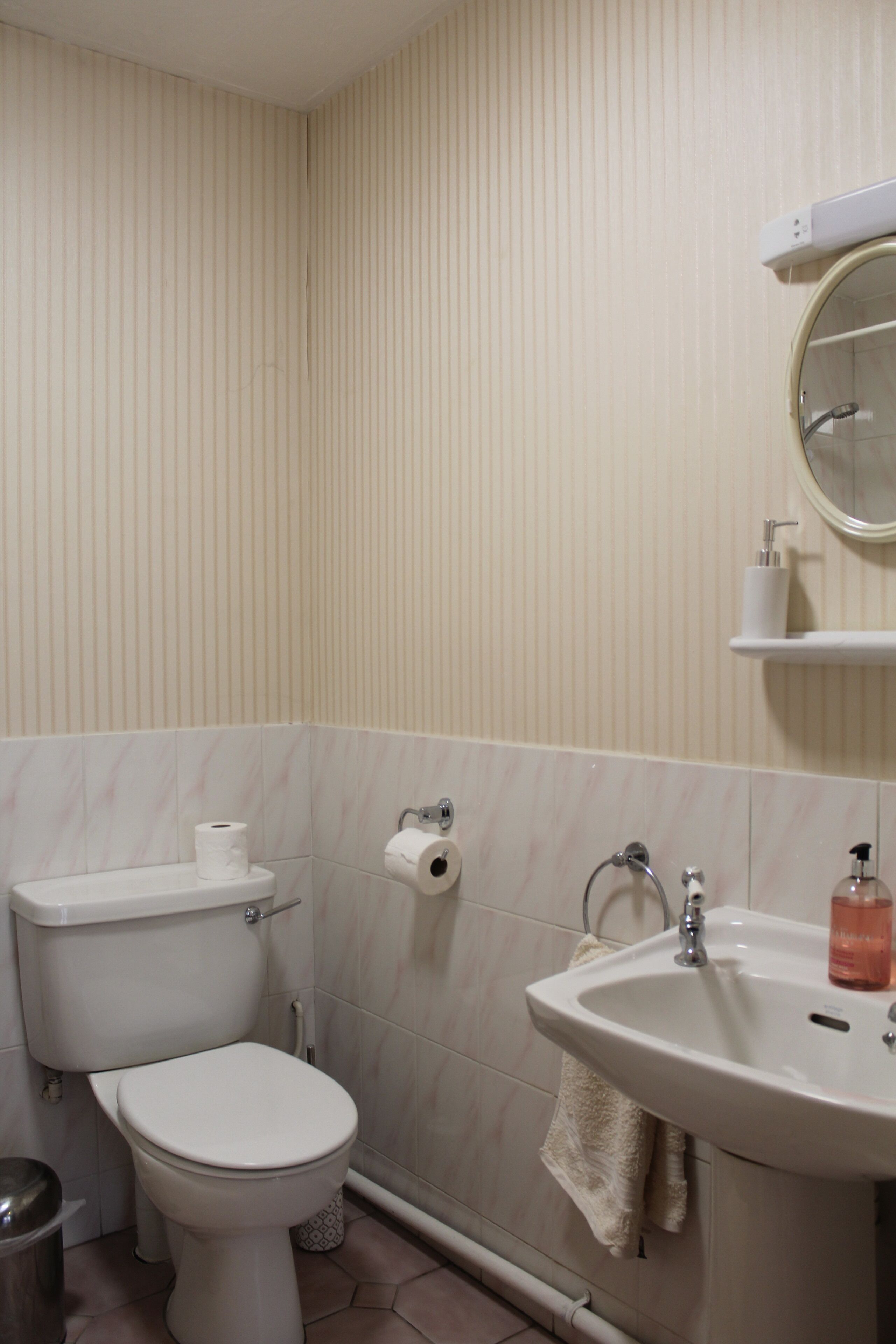 A bathroom with a toilet, a sink, and a mirror.
