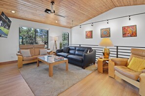 Smart TV, fireplace, books