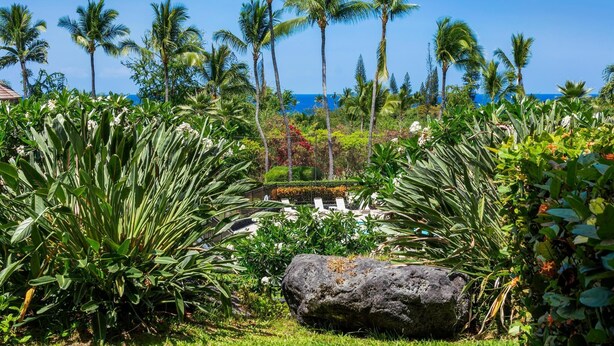 Un jardin tropical avec des palmiers, un grand rocher et un espace piscine.