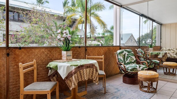 Une pièce avec une grande fenêtre, une table à manger avec des chaises, un canapé et une petite table sur laquelle est posée une plante.