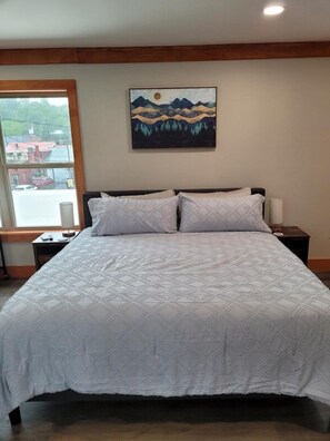 1 bedroom, iron/ironing board, Internet - Sky Loft 4- Walk to Polar Express! (Bryson City)