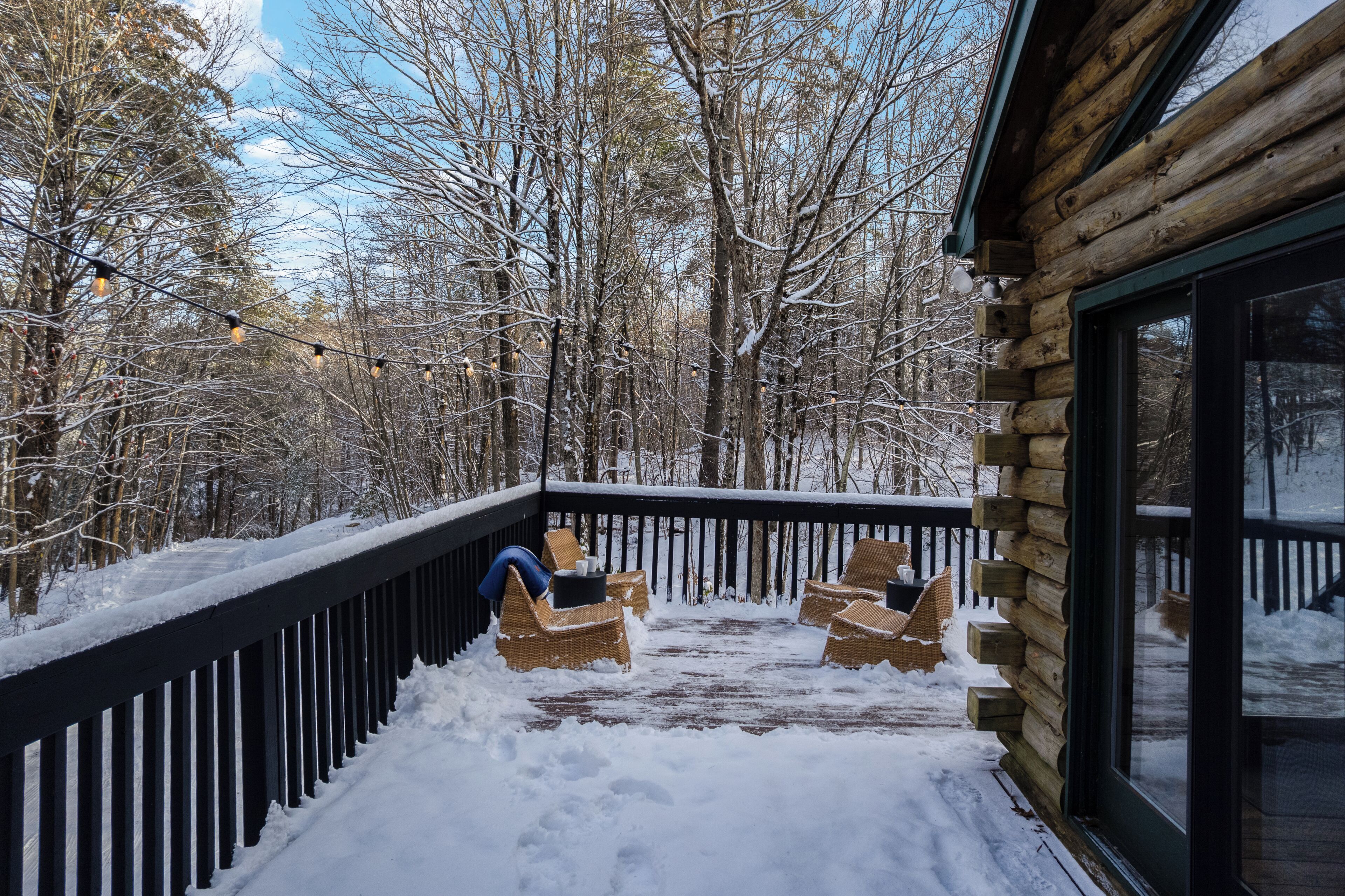 テラス / パティオ