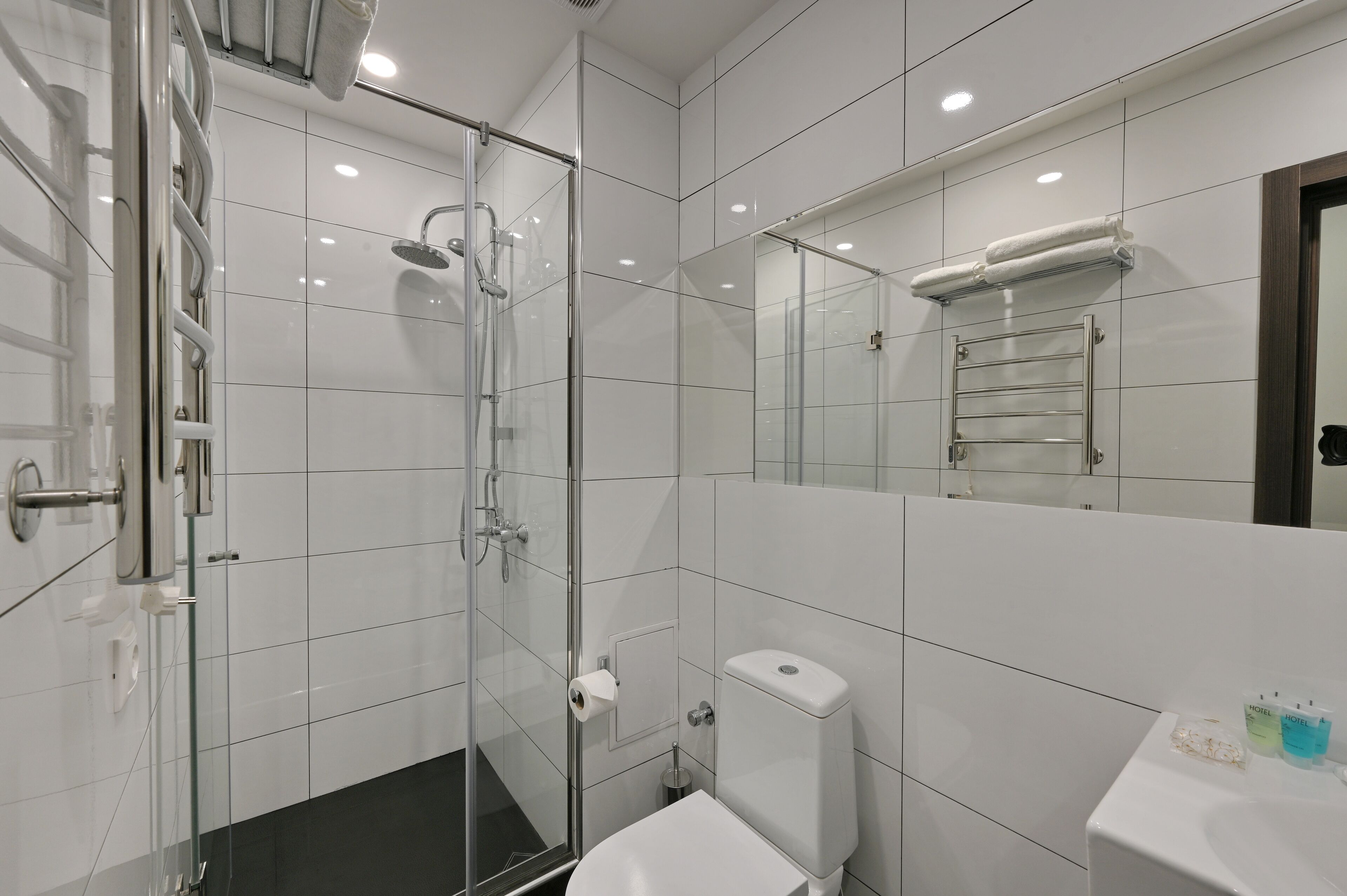 A modern bathroom with a glass shower enclosure, a toilet, and a sink with toiletries.