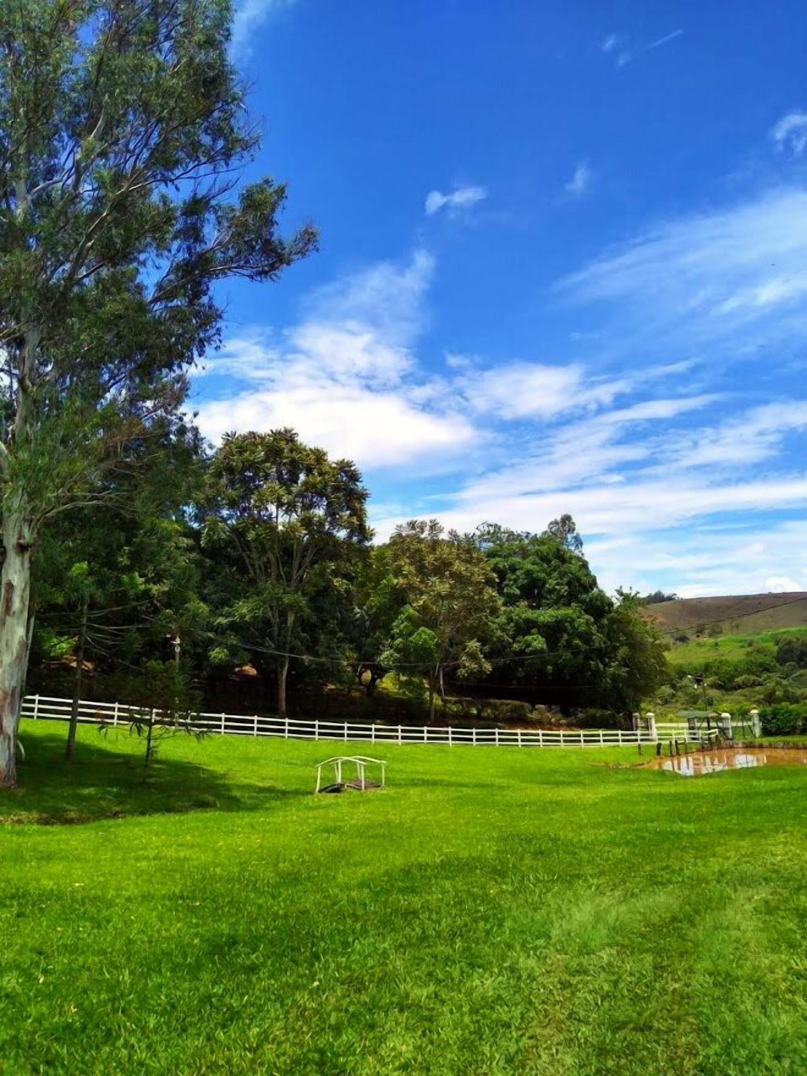 A grassy field with a white fence, trees, and a clear blue sky.