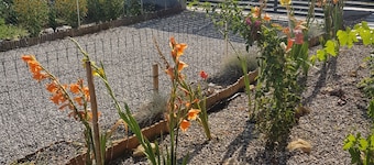 Ruralna kuća za odmor Nina