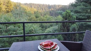 Outdoor dining - Terrace with gorgeous panorama in historic Rabstejn (Manetín)