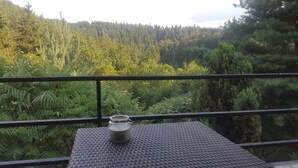 A balcony with a table and a glass container, overlooking a dense forest. - Terrace with gorgeous panorama in historic Rabstejn (Manetín)
