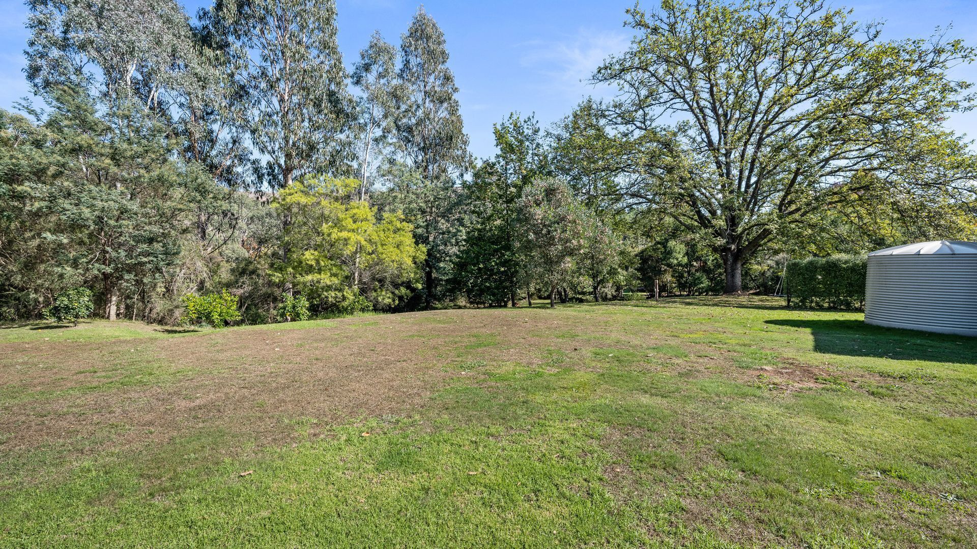 A grassy backyard with trees and a shed.