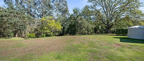 A grassy backyard with trees and a shed.