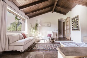 TV connectée, cheminée, table de tennis de table, livres