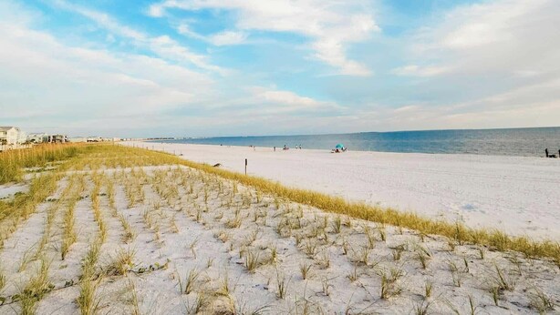 A beach with a sandy area and a grassy section. - ~No Bad Days Townhome~ - 300ft to the sand! (Mexico Beach)