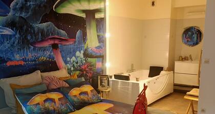 Superbe 60m2 avec suite et jaccuzi