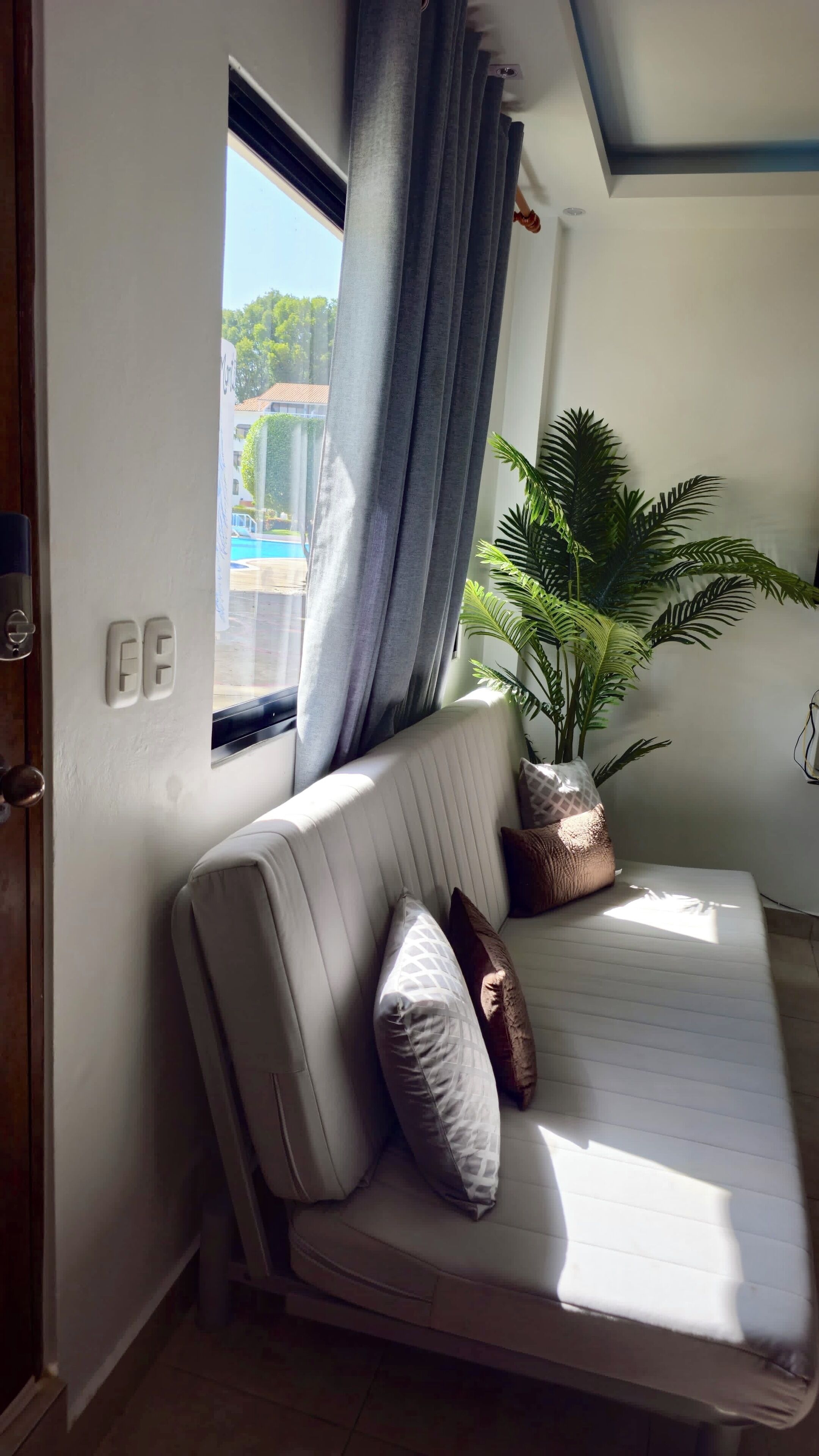 A room with a sofa, a potted plant, and a window with curtains.