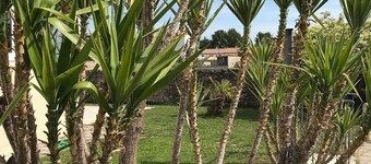 1 Bedroom Apartment in Saint-Bauzille-de-la-Sylve