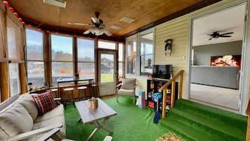 Smart TV, chimenea, videojuegos y libros