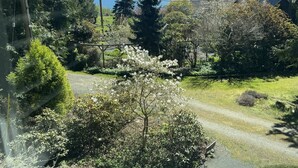 Un jardin avec un chemin de gravier, différents arbres et une clôture en bois.