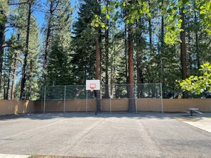 Ein Basketballplatz im Freien, umgeben von hohen Bäumen.