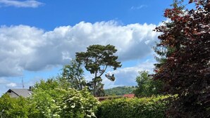 A well-maintained garden with a variety of trees and shrubs, a neatly trimmed lawn, and a stone pathway leading through the greenery. - Vacation home in Wehr Eifel, near Laacher See and Nürburgring with large garden (Wehr)