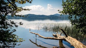 A calm lake with a fallen tree in the foreground and mountains in the background. - Vacation home in Wehr Eifel, near Laacher See and Nürburgring with large garden (Wehr)