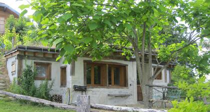 quiet green cabin in the bugey