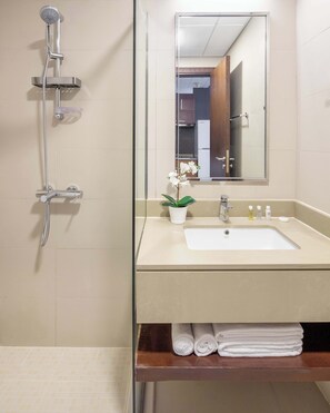 Shower, hair dryer, towels