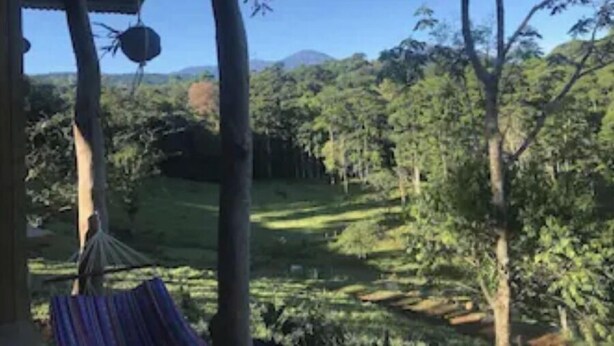 Un'amaca sotto una struttura in legno, con vista su un paesaggio boschivo.