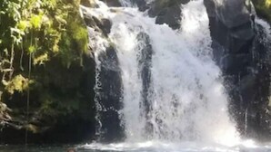 Una cascata con acqua che si riversa su una parete rocciosa in una pozza circondata da vegetazione.