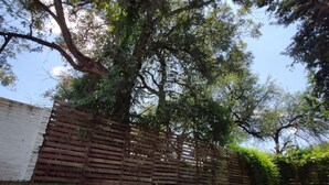 A grassy area with trees and a wooden fence. - Resting house with pool! near the Media Luna Spring (Ciudad Fernández)