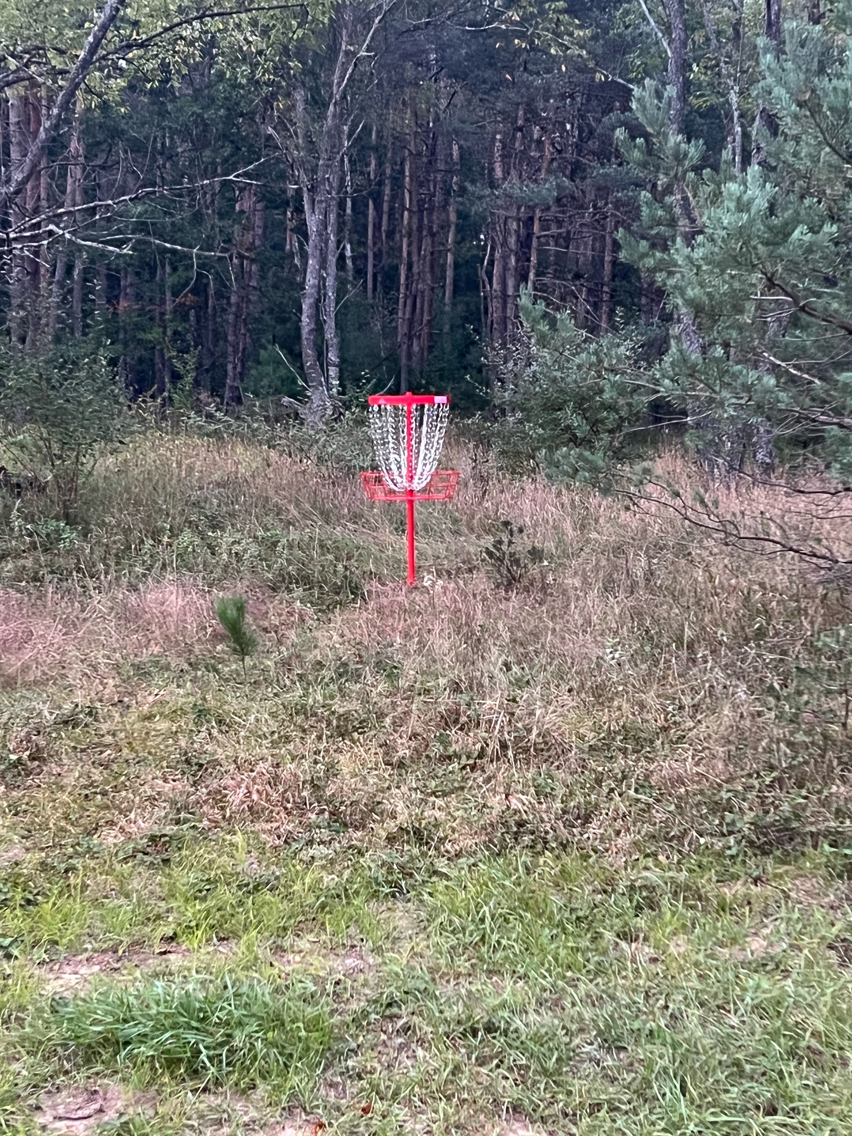A red disc golf basket in a wooded area.