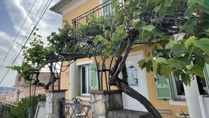 Un edificio con pared de piedra, una verja metálica y un enrejado cubierto de hiedra.