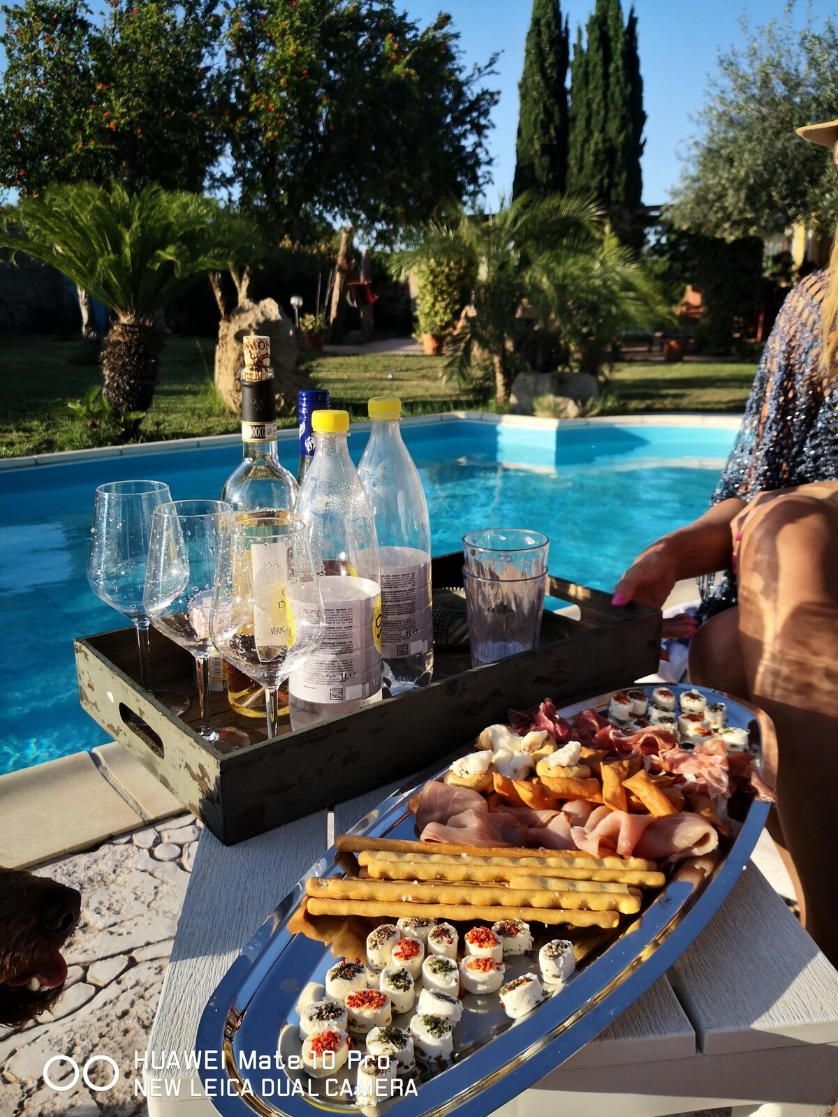 Image de profil de l’hôte