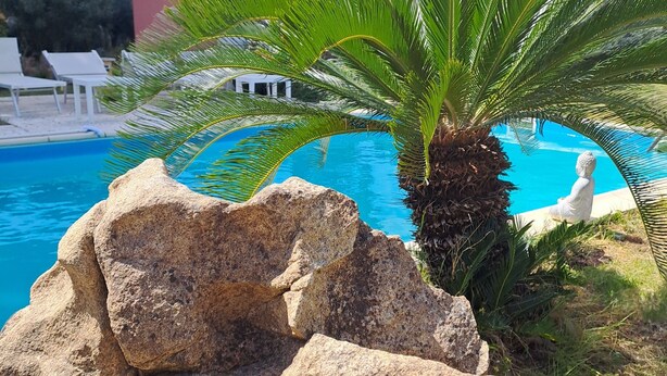 Un área de piscina con rocas grandes, una palmera y sillones de descanso.
