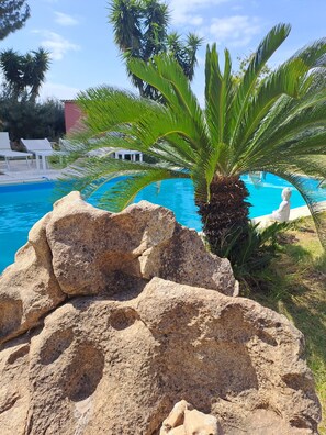 Ein Poolbereich mit großen Steinen, einer Palme und Liegestühlen.