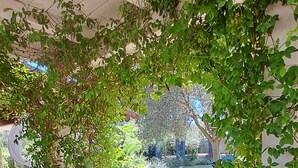 Un área de estar al aire libre techada con una silla lounge de madera y una mesita, rodeada de follaje y vistas a un jardín.