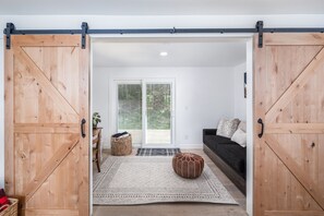 TV connectée, cheminée, livres, médiathèque